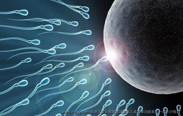 吉林大安在哪里做试管婴儿成功率比较高？一次多少钱？