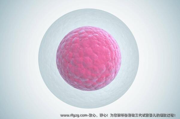 放心，舒心！为您解析香港做三代试管婴儿的细致过程！