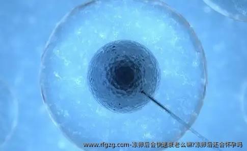 雪藏卵后会快速衰老么嘛?雪藏卵后还会怀孕吗？