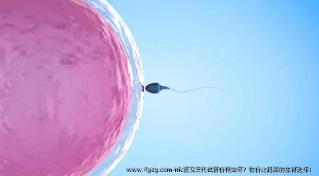 nic医院三代试管价格如何？性价比超高的生育选择！