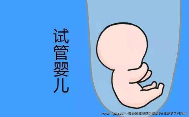去泰国雪藏卵成功率高吗?雪藏卵多久可以用