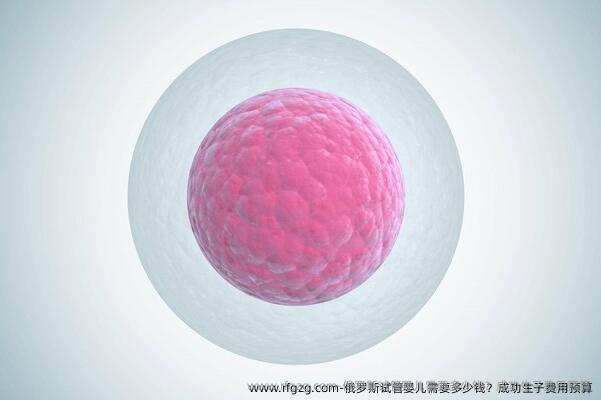 俄罗斯试管婴儿需要多少钱？成功生子费用预算