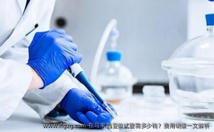 在马来西亚做试管需多少钱？费用明细一文解析