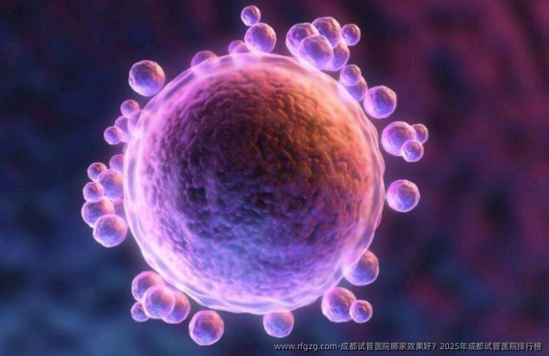 成都试管医院哪家效果好？2025年成都试管医院排行榜