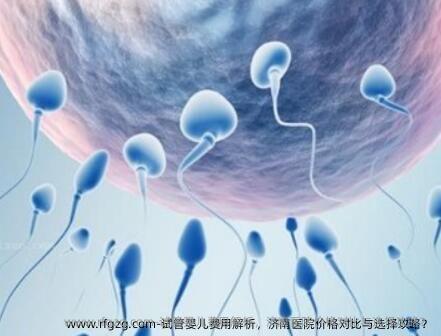 试管婴儿费用解析，济南医院价格对比与选择攻略？