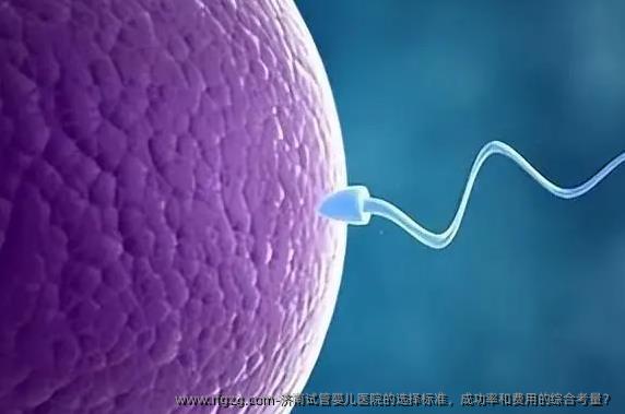 济南试管婴儿医院的选择标准，成功率和费用的综合考量？