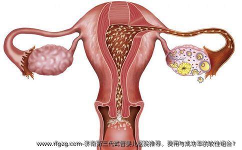济南第三代试管婴儿医院推荐，费用与成功率的较佳组合？