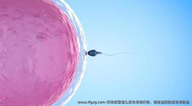济南试管婴儿成功率排行榜，哪些医院的成功率较高