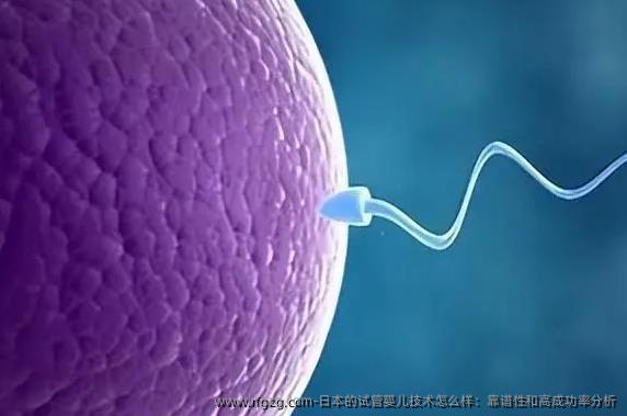 日本的试管婴儿技术怎么样：靠谱性和高成功率分析
