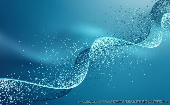 在吉尔吉斯斯坦进行三代试管移植后的注意事项大全