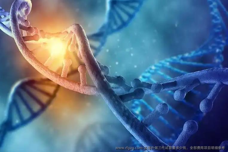 去海外做三代试管要多少钱，全部费用项目明细参考