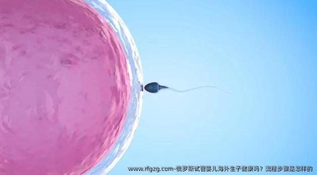 俄罗斯试管婴儿海外生子健康吗？流程步骤是怎样的