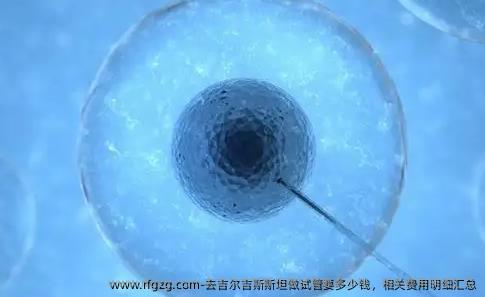 去吉尔吉斯斯坦做试管要多少钱，相关费用明细汇总