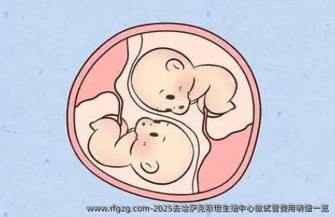2025去哈萨克斯坦生殖中心做试管费用明细一览