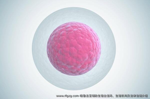 格鲁吉亚辅助生殖合法吗，生殖机构及法律法规介绍
