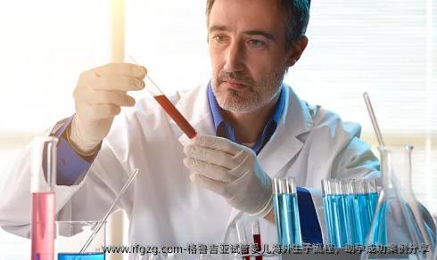 格鲁吉亚试管婴儿海外生子流程，助孕成功案例分享