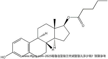 2025格鲁吉亚做三代试管婴儿多少钱？预算参考