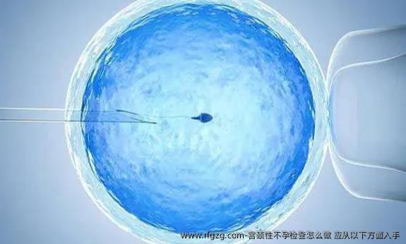 宫颈性不孕检查怎么做 应从以下方面入手