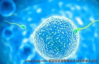 泰国做试管费用高吗？现在需要多少钱？