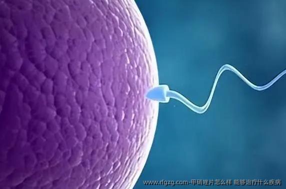 甲硝唑片怎么样 能够治疗什么疾病