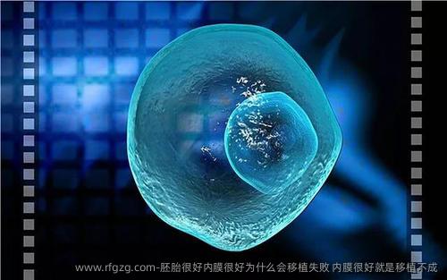 胚胎很好内膜很好为什么会移植失败,内膜很好就是移植不成