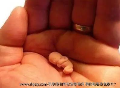 乳铁蛋白粉宝宝能喝吗？真的能提高免疫力？