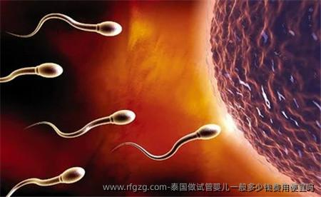 泰国做试管婴儿一般多少钱费用便宜吗？