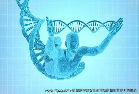 衡量肥胖对女性生殖功能和生育能力的影响