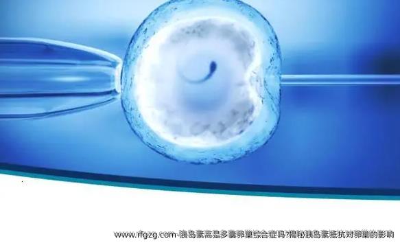胰岛素高是多囊卵巢综合症吗?揭秘胰岛素抵抗对卵巢的影响