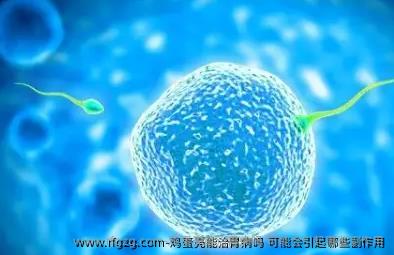 **壳能治胃病吗 可能会引起哪些副作用