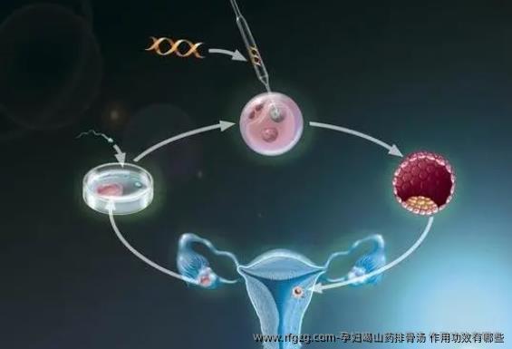 孕妇喝山药排骨汤 作用功效有哪些