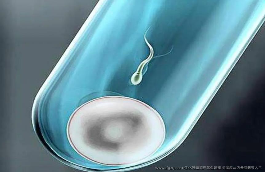 生化妊娠流产怎么调理，关键应从内分泌调节入手