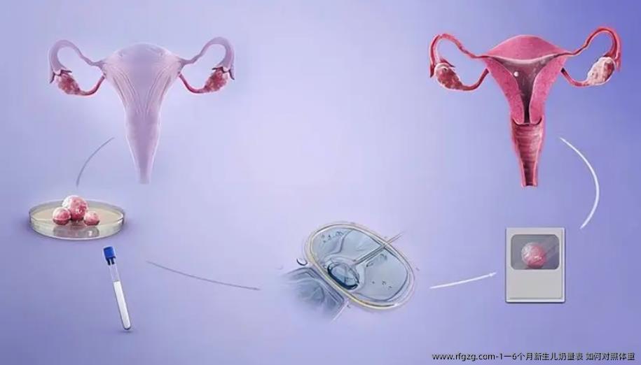 1一6个月新生儿奶量表 如何对照体重