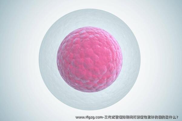 三代试管促排期间打尿促性素针的目的是什么？