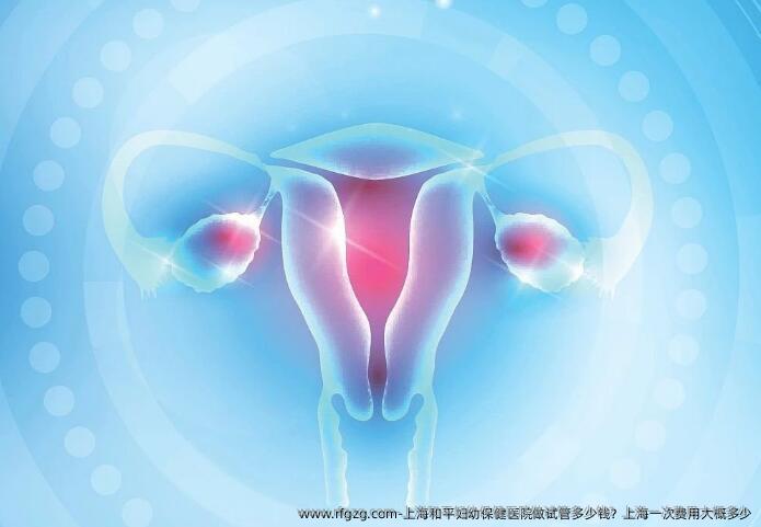 上海和平妇幼保健医院做试管多少钱？上海一次费用大概多少