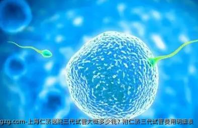 上海仁济医院三代试管大概多少钱？附仁济三代试管费用明细表