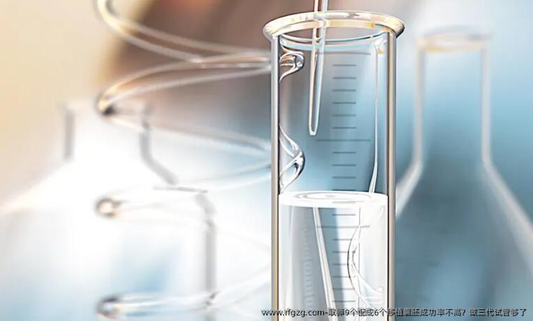 卵泡取出9个配成6个移植囊胚成功率不高？做三代试管够了