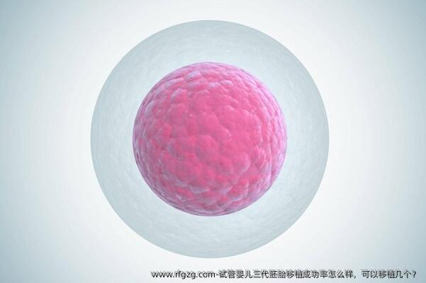 试管婴儿三代胚胎移植成功率怎么样，可以移植几个？