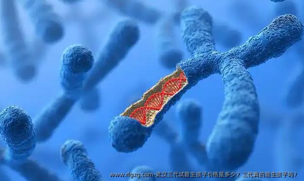 武汉三代试管生孩子价格是多少？三代真的能生孩子吗？