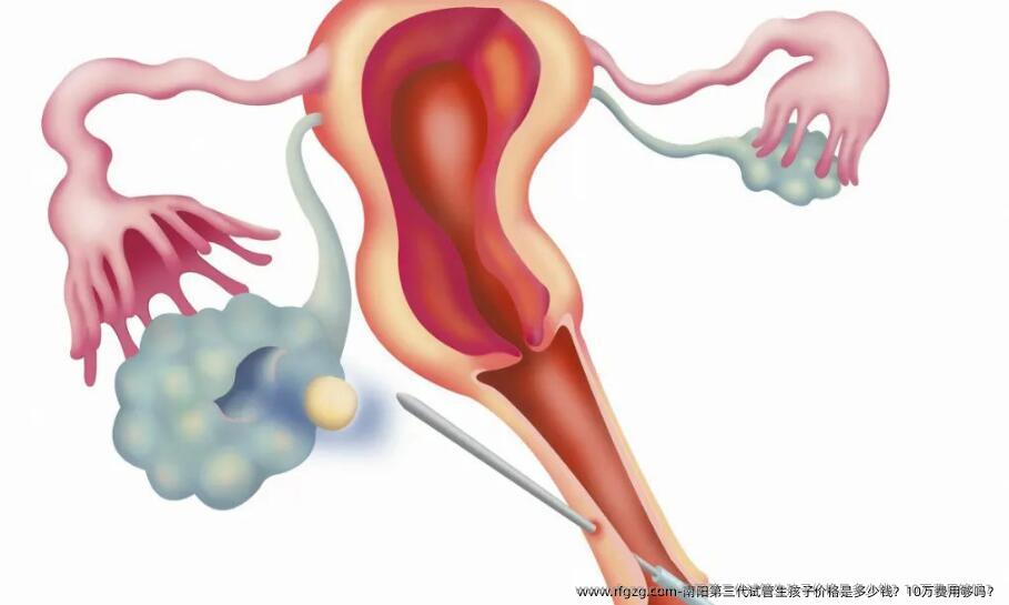 南阳第三代试管生孩子价格是多少钱？10万费用够吗？