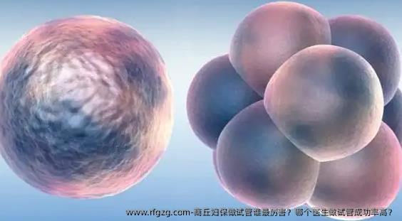 商丘妇保做试管谁最厉害？哪个医生做试管成功率高？