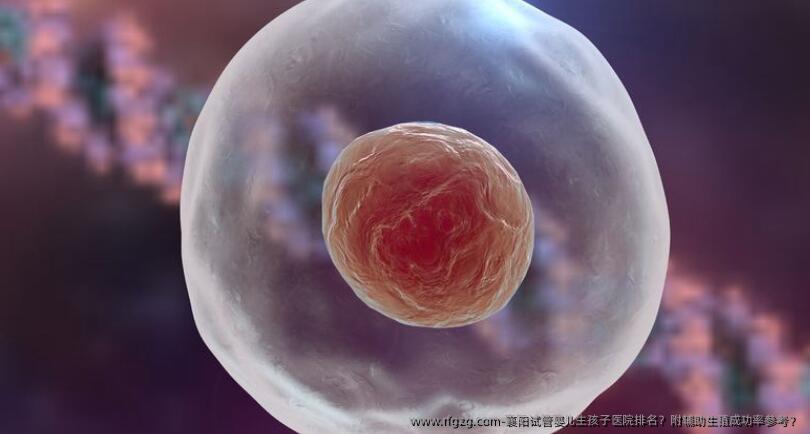襄阳试管婴儿生孩子医院排名？附辅助生殖成功率参考？