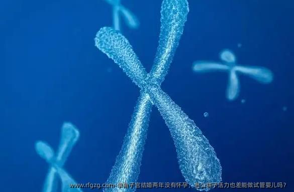 单角子宫结婚两年没有怀孕，老公精子活力也差能做试管婴儿吗？