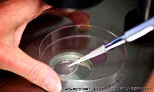 许昌试管婴儿价格明细表？5万块能做试管吗？