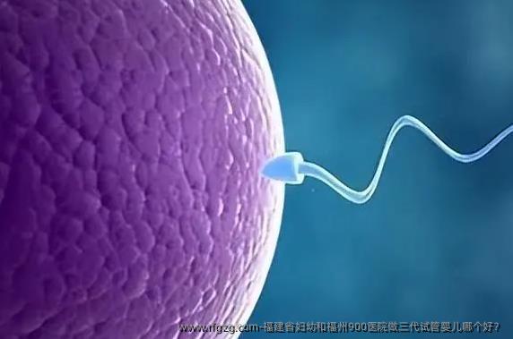 福建省妇幼和福州900医院做三代试管婴儿哪个好？