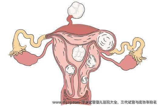 萍乡试管婴儿医院大全，三代试管与成功率排名
