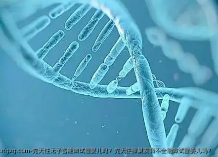 先天性无子宫能做试管婴儿吗？先天性卵巢发育不全能做试管婴儿吗？