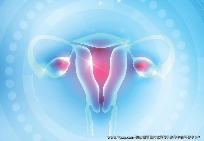 鞍山做第三代试管婴儿助孕的价格是多少？