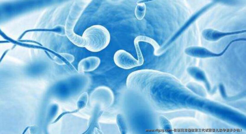 在医院准备做第三代试管婴儿助孕要多少钱？