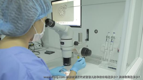 泰国做第三代试管婴儿助孕的价格是多少？具体费用是多少？
